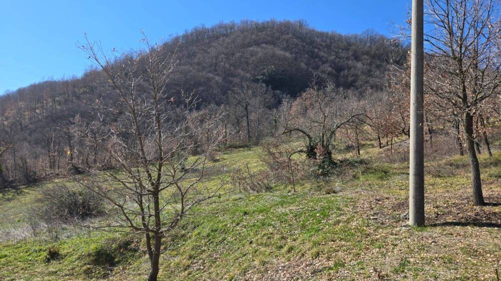 immagine annuncio 12 di 13