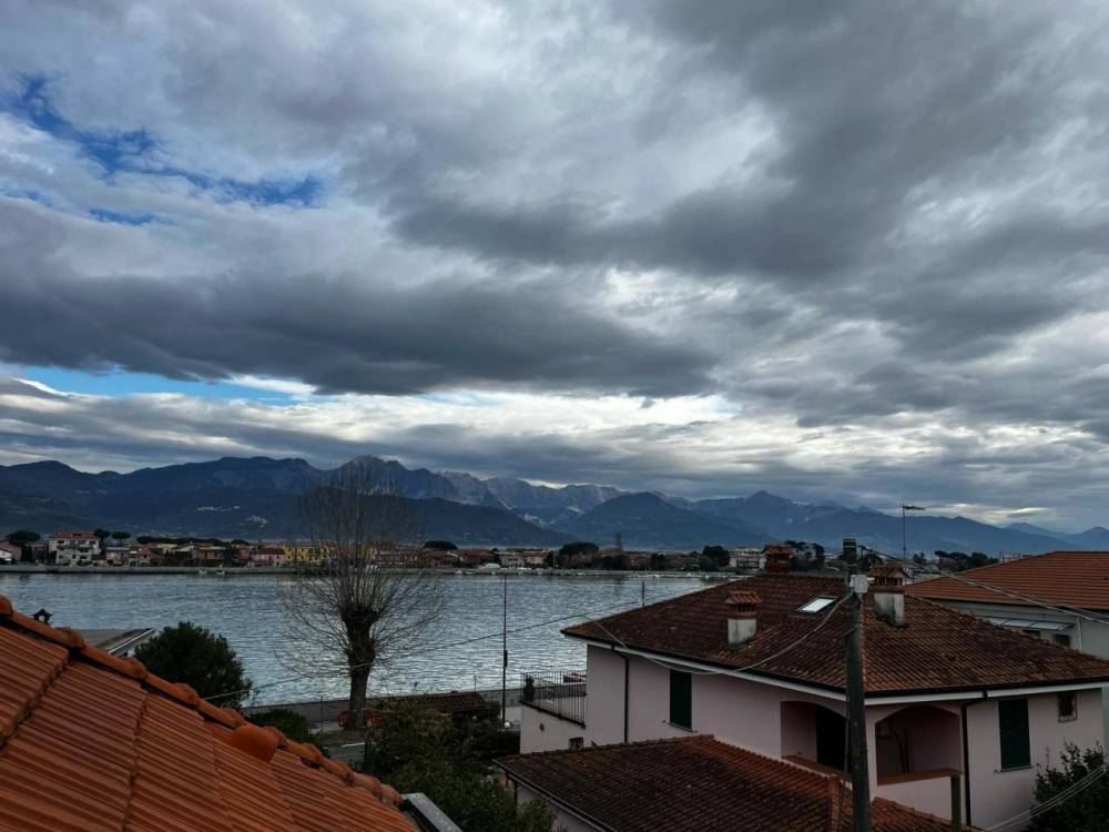 immagine annuncio 5 di 14