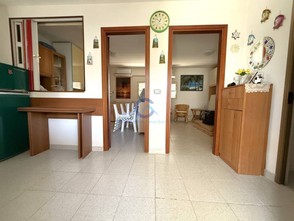 immagine annuncio 10 di 13