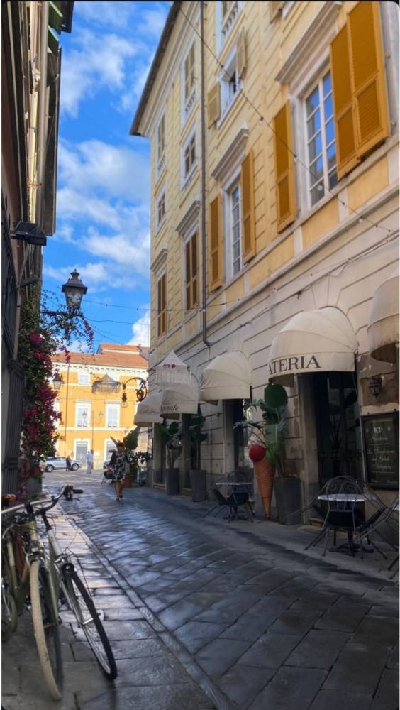 immagine annuncio 12 di 14