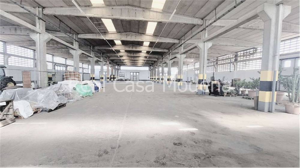 immagine annuncio 5 di 13