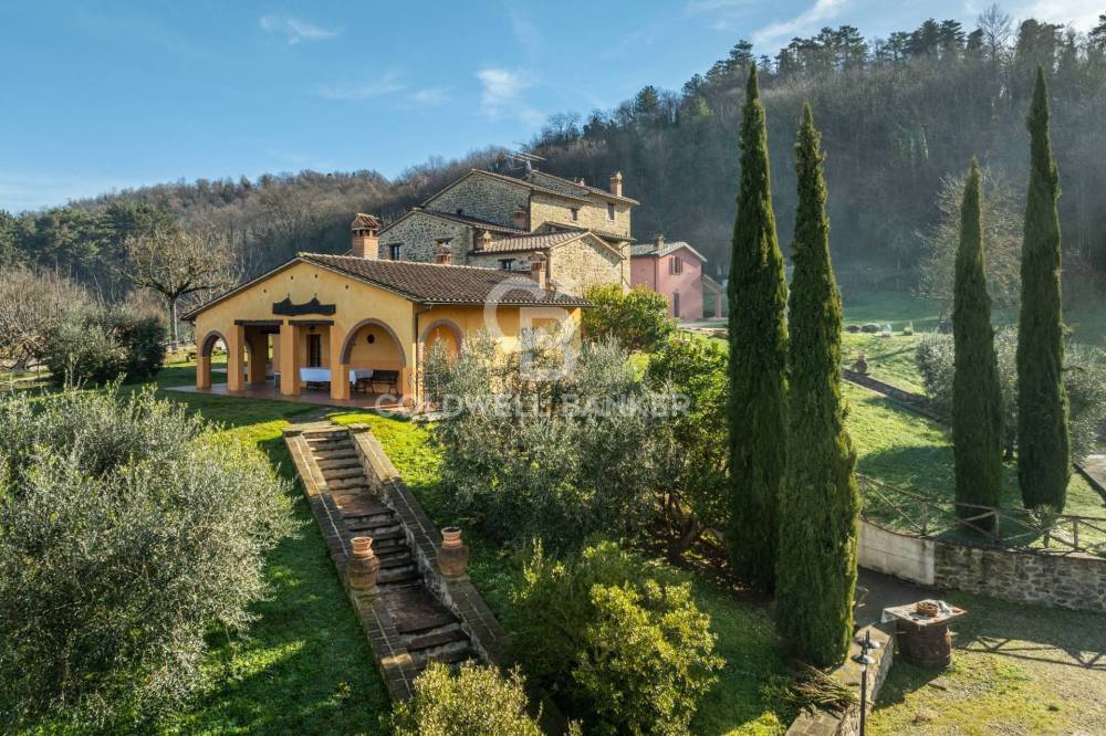 immagine annuncio 8 di 14