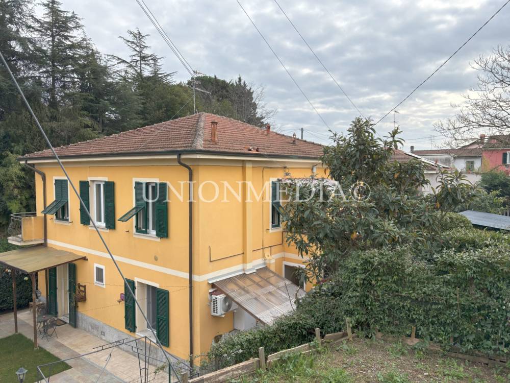 immagine annuncio 2 di 13