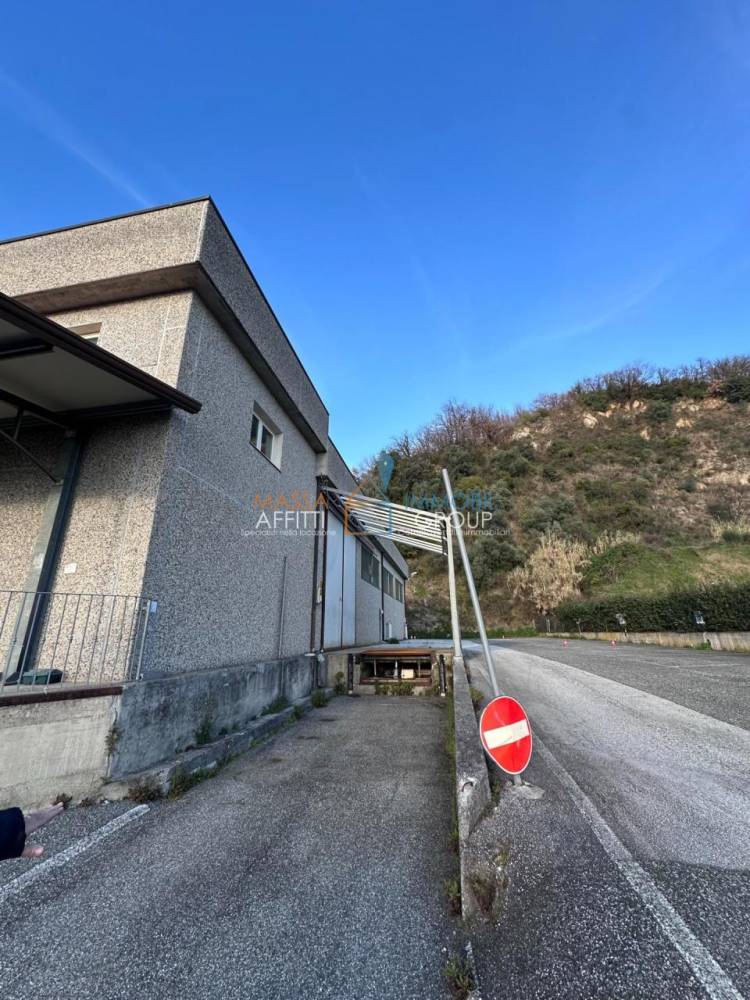 immagine annuncio 4 di 13