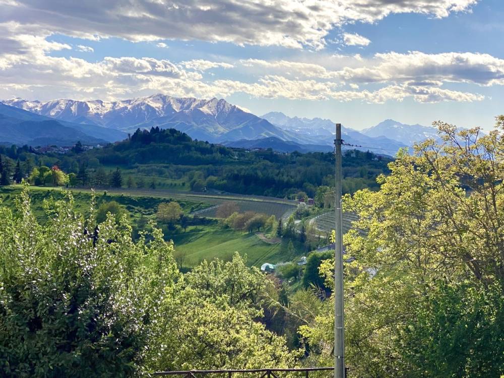 immagine annuncio 5 di 13