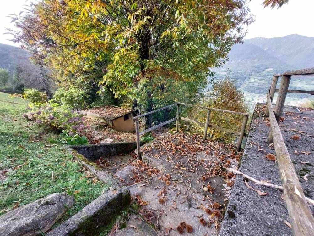 immagine annuncio 11 di 13