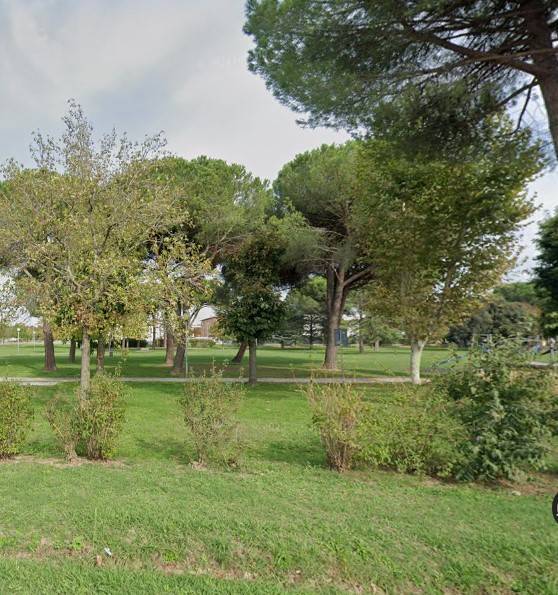 immagine annuncio 8 di 12