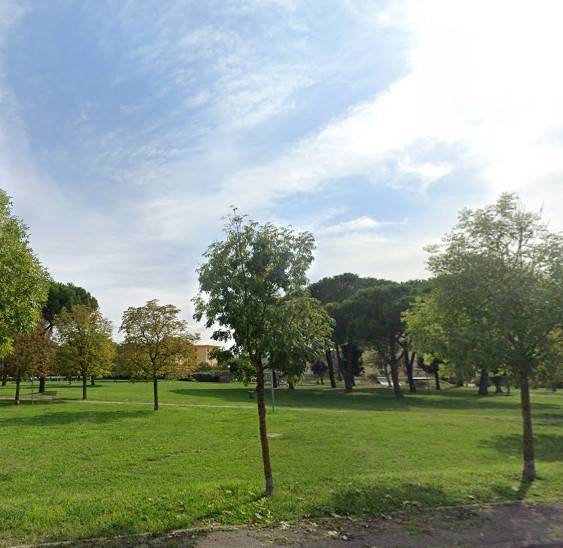 immagine annuncio 9 di 12