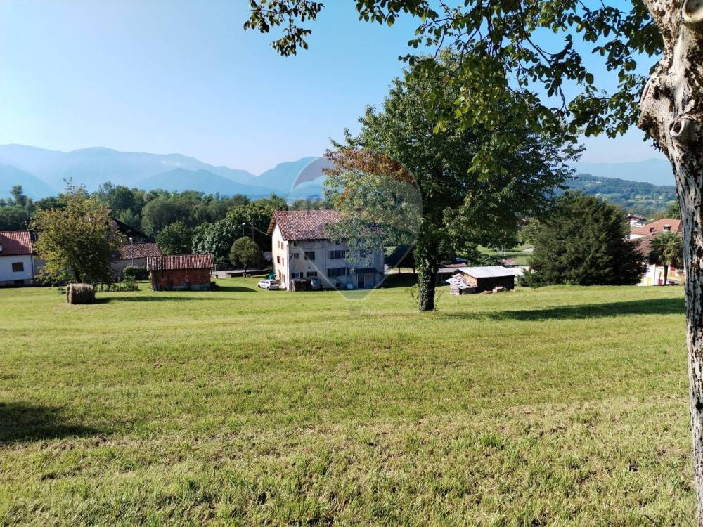 immagine annuncio 5 di 13