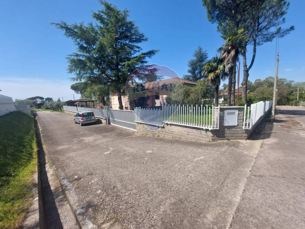 immagine annuncio 5 di 14