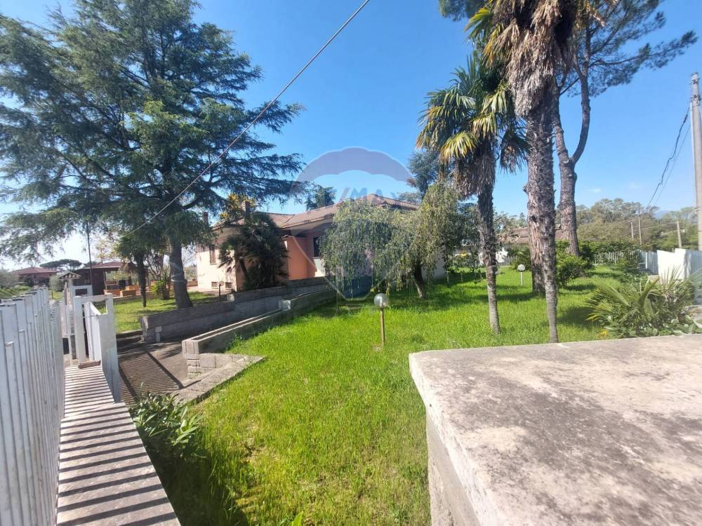 immagine annuncio 7 di 14