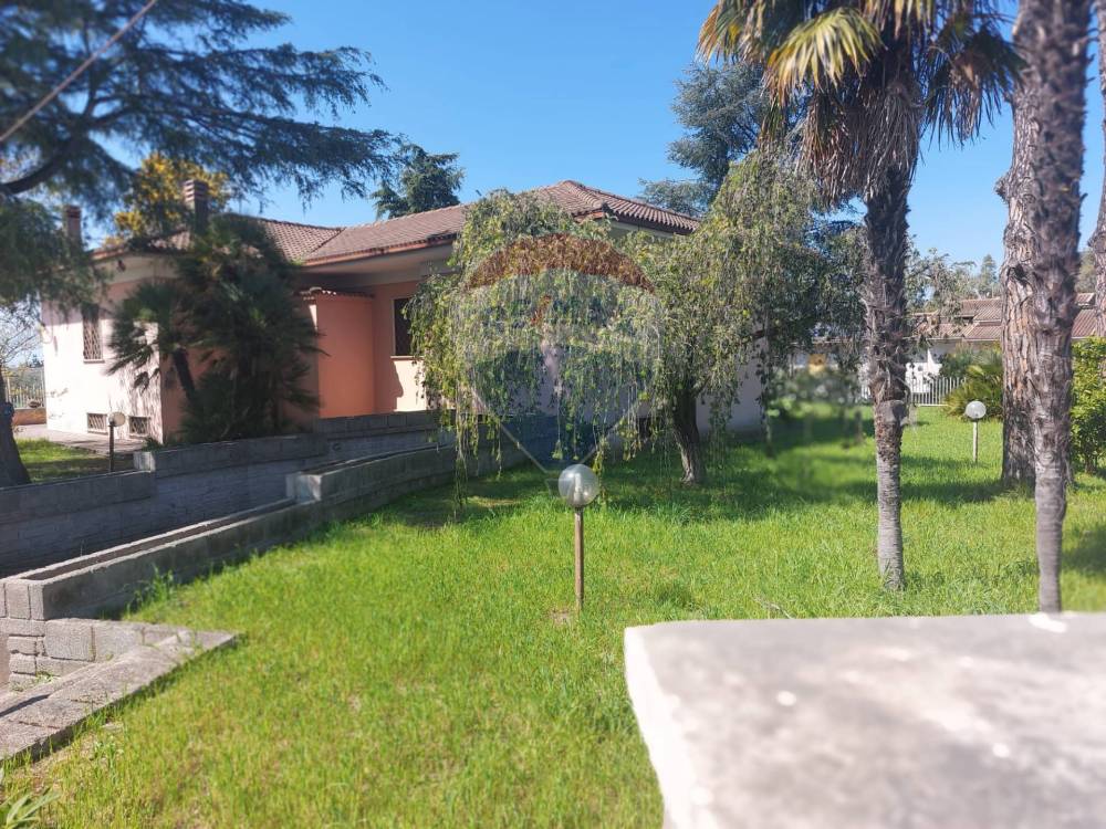 immagine annuncio 8 di 14