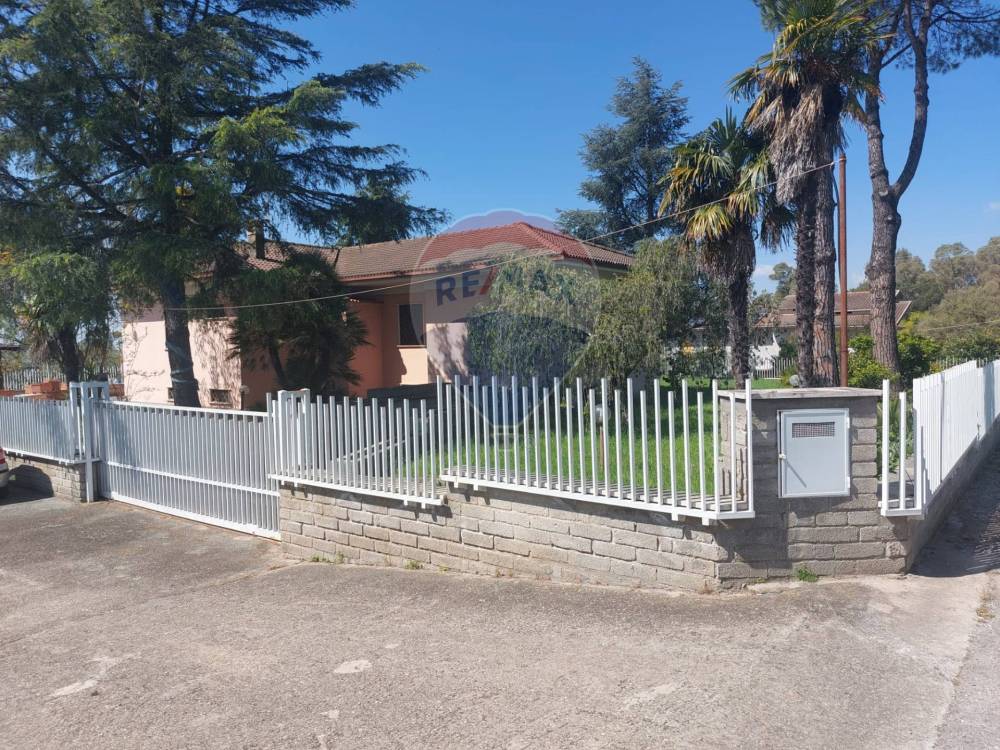 immagine annuncio 9 di 14
