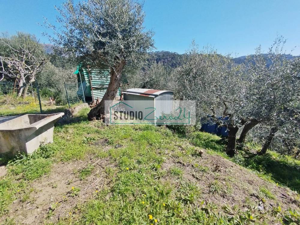immagine annuncio 4 di 13