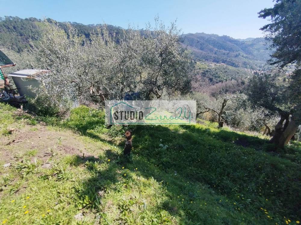 immagine annuncio 5 di 13
