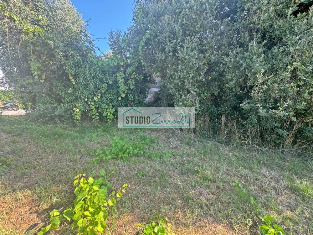 immagine annuncio 6 di 13
