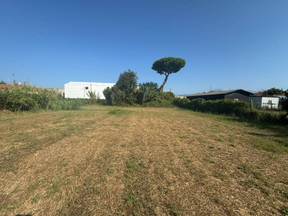 immagine annuncio 9 di 13