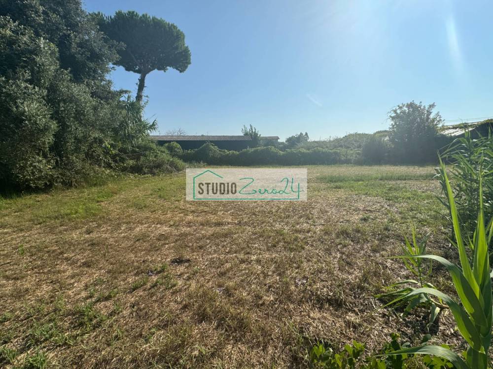 immagine annuncio 10 di 13