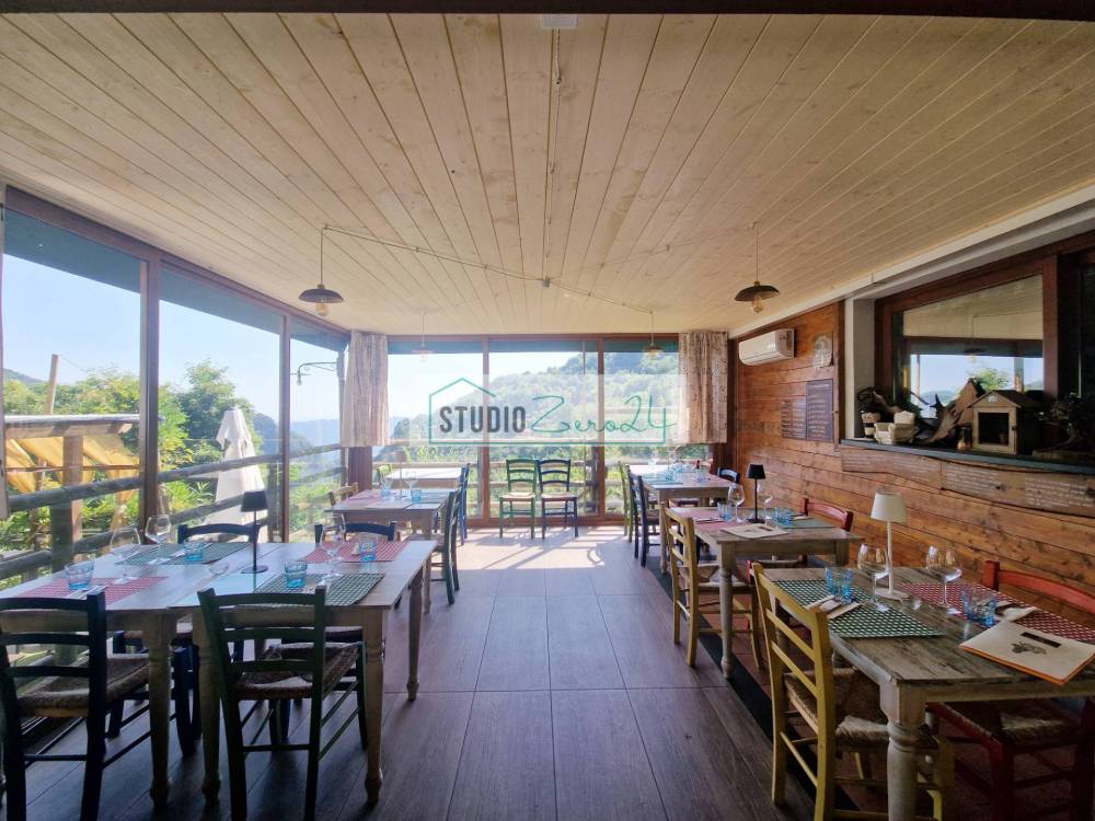 immagine annuncio 10 di 14