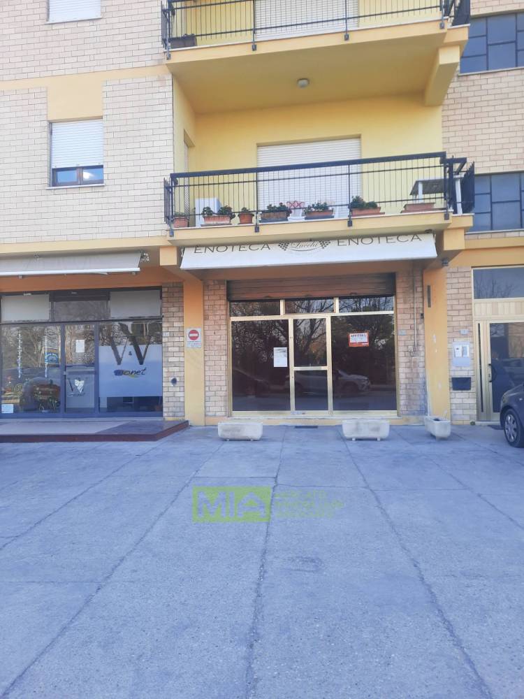 immagine annuncio 8 di 11