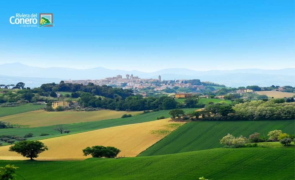 immagine annuncio 13 di 14