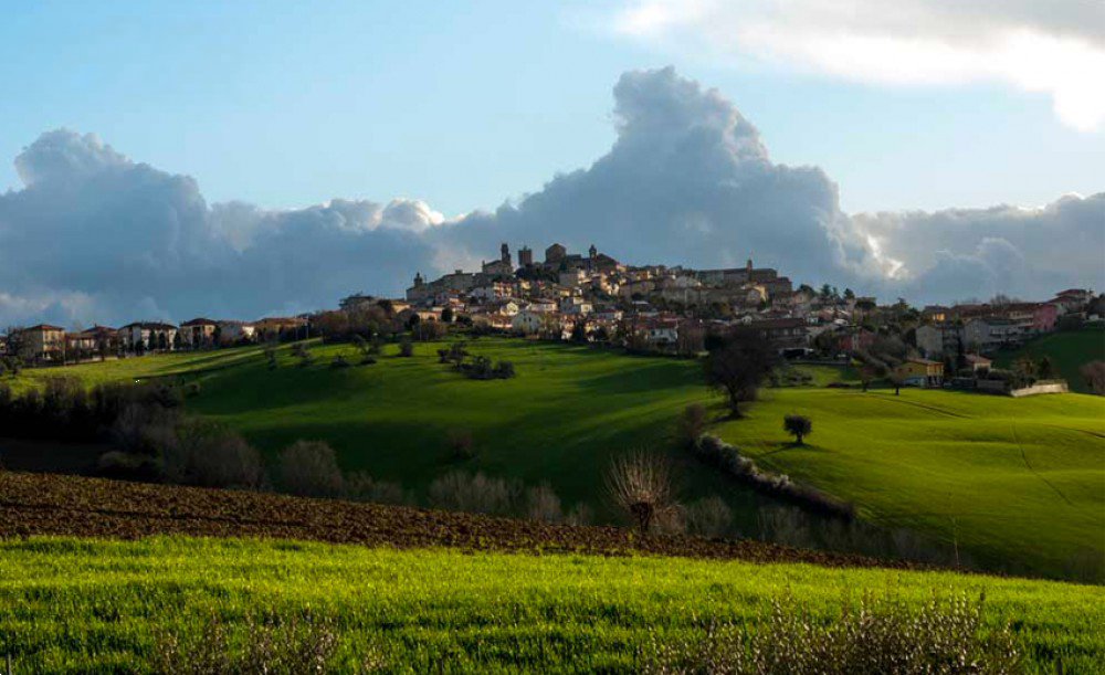 immagine annuncio 13 di 14