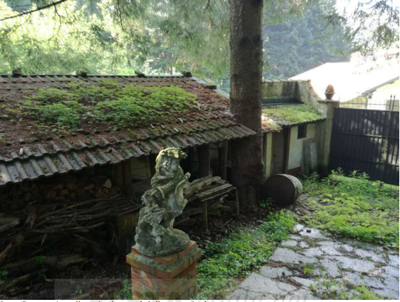 immagine annuncio 3 di 13