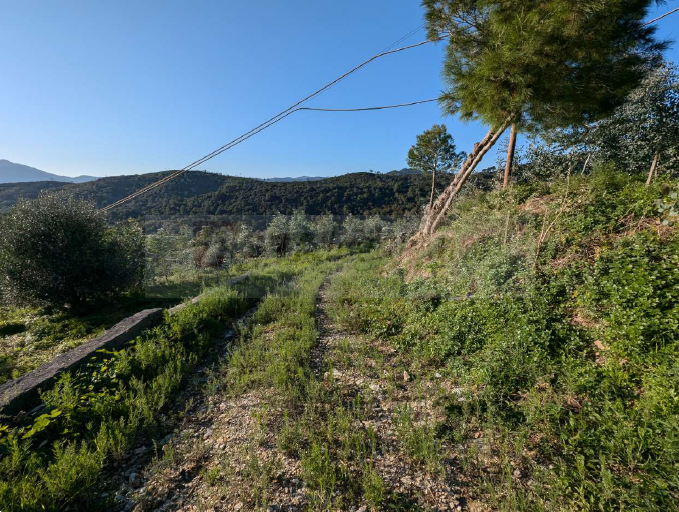 immagine annuncio 3 di 7