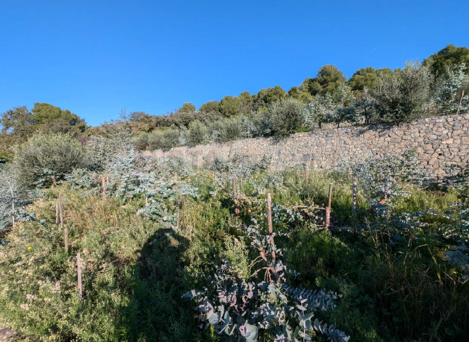 immagine annuncio 6 di 7