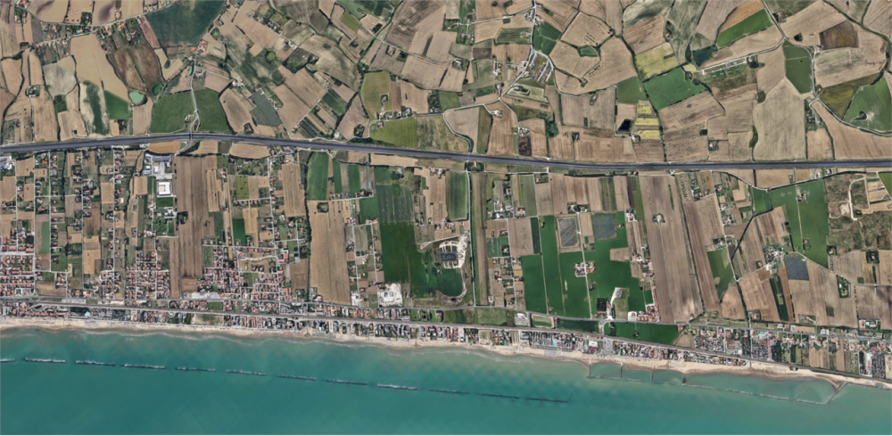 immagine annuncio 1 di 14