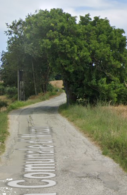 immagine annuncio 11 di 14