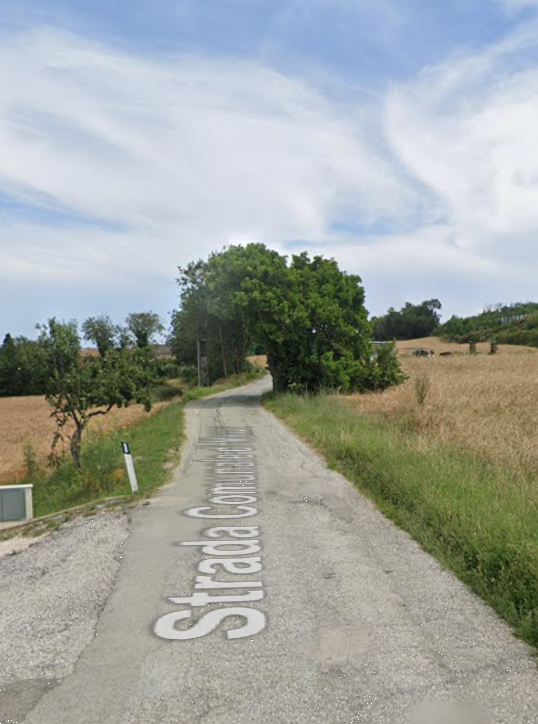 immagine annuncio 12 di 14