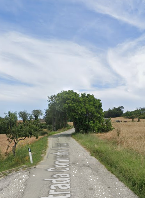 immagine annuncio 7 di 14
