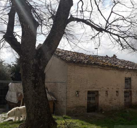 immagine annuncio 3 di 13