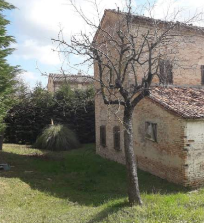 immagine annuncio 4 di 13