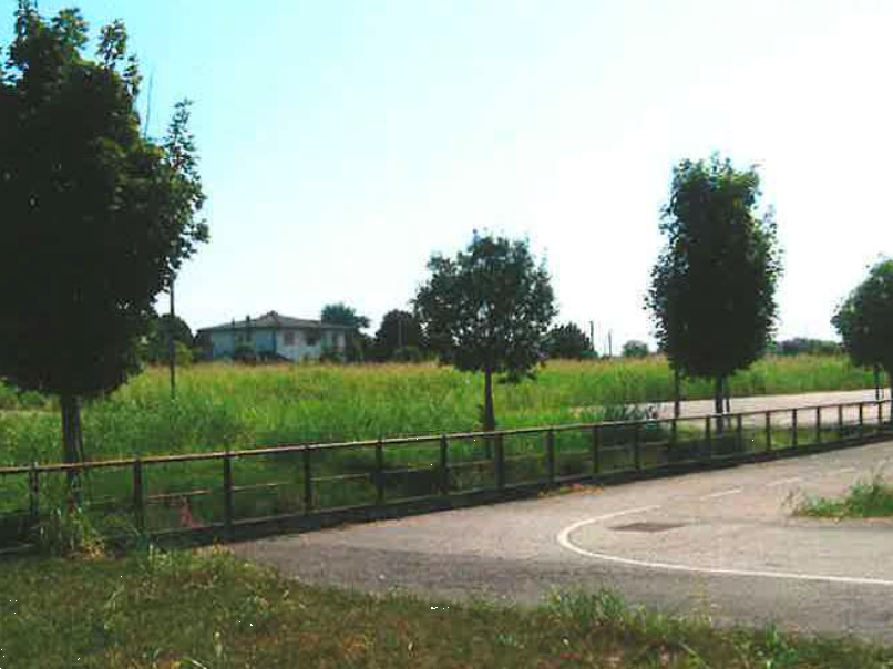 immagine annuncio 5 di 13