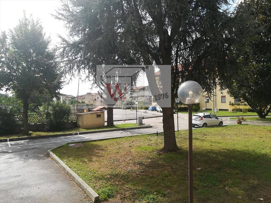 immagine annuncio 6 di 13