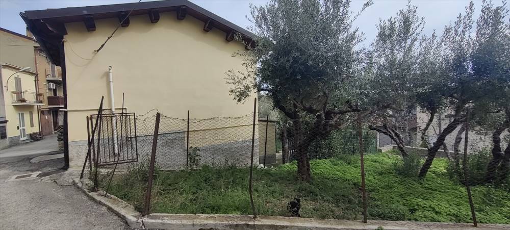immagine annuncio 1 di 13