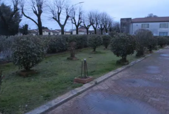 immagine annuncio 1 di 13