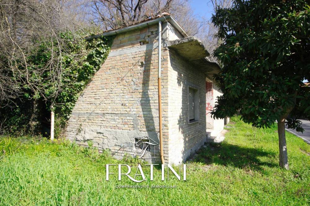 immagine annuncio 11 di 13