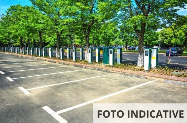 immagine annuncio 1 di 13