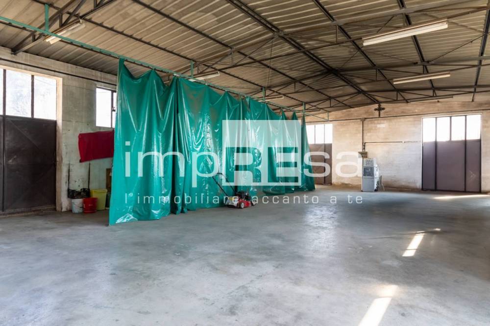 immagine annuncio 12 di 13