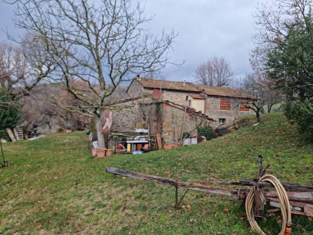 immagine annuncio 4 di 13