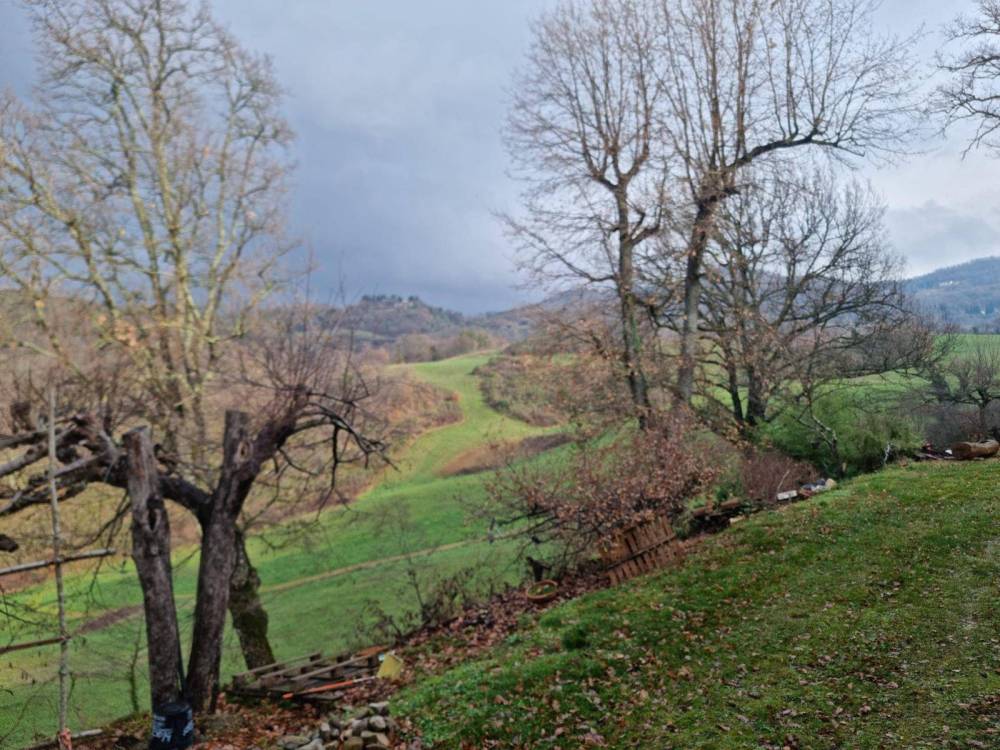 immagine annuncio 6 di 13