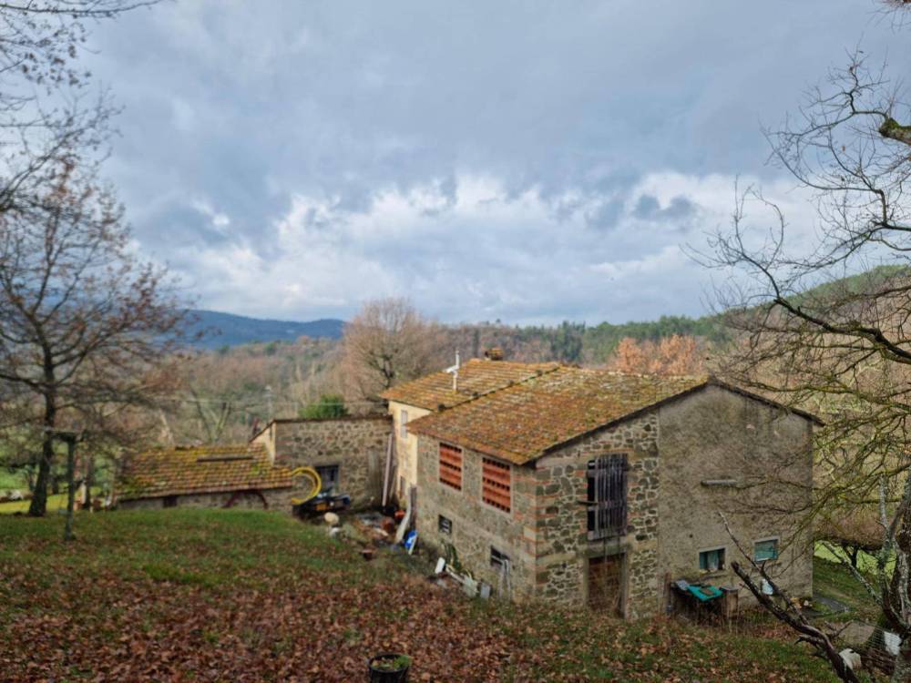 immagine annuncio 5 di 13