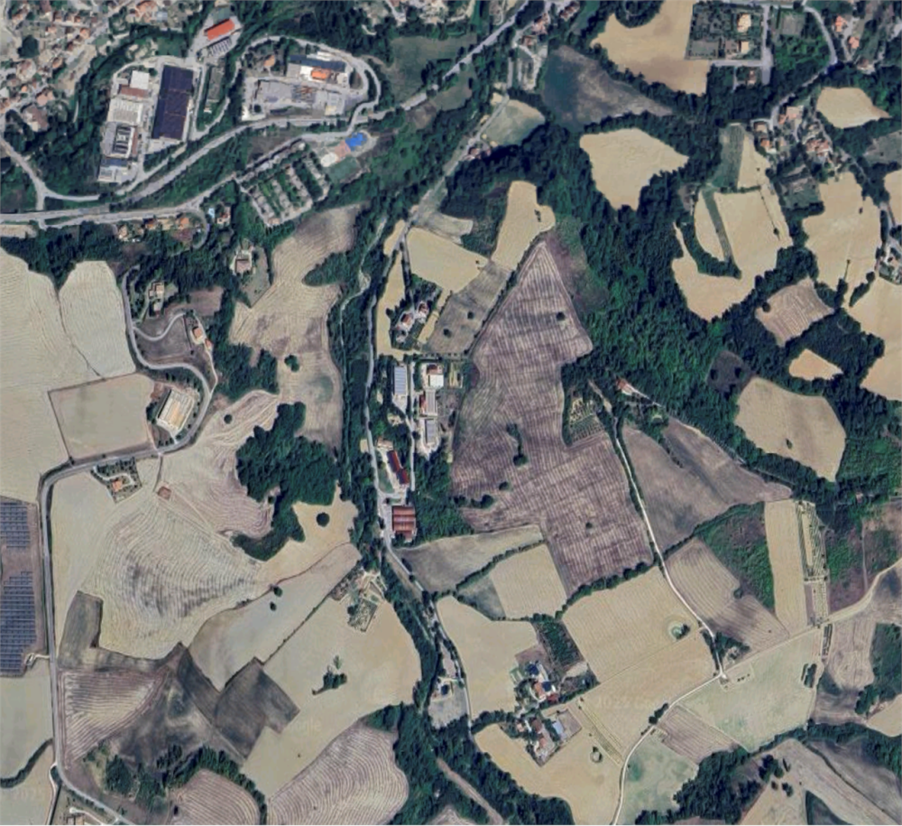 immagine annuncio 4 di 13