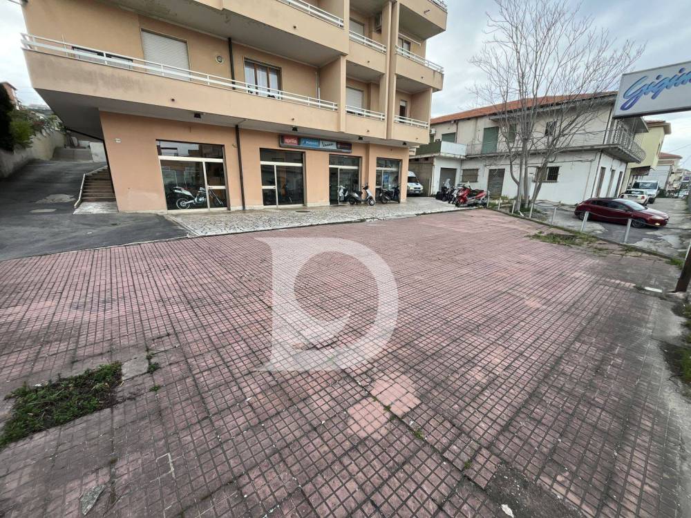 immagine annuncio 12 di 13