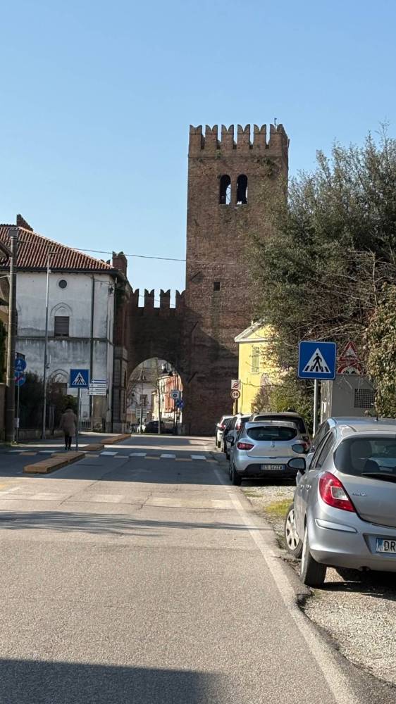 immagine annuncio 4 di 13