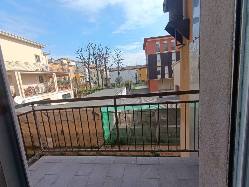 immagine annuncio 3 di 12