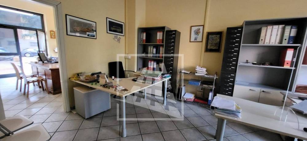 immagine annuncio 5 di 13